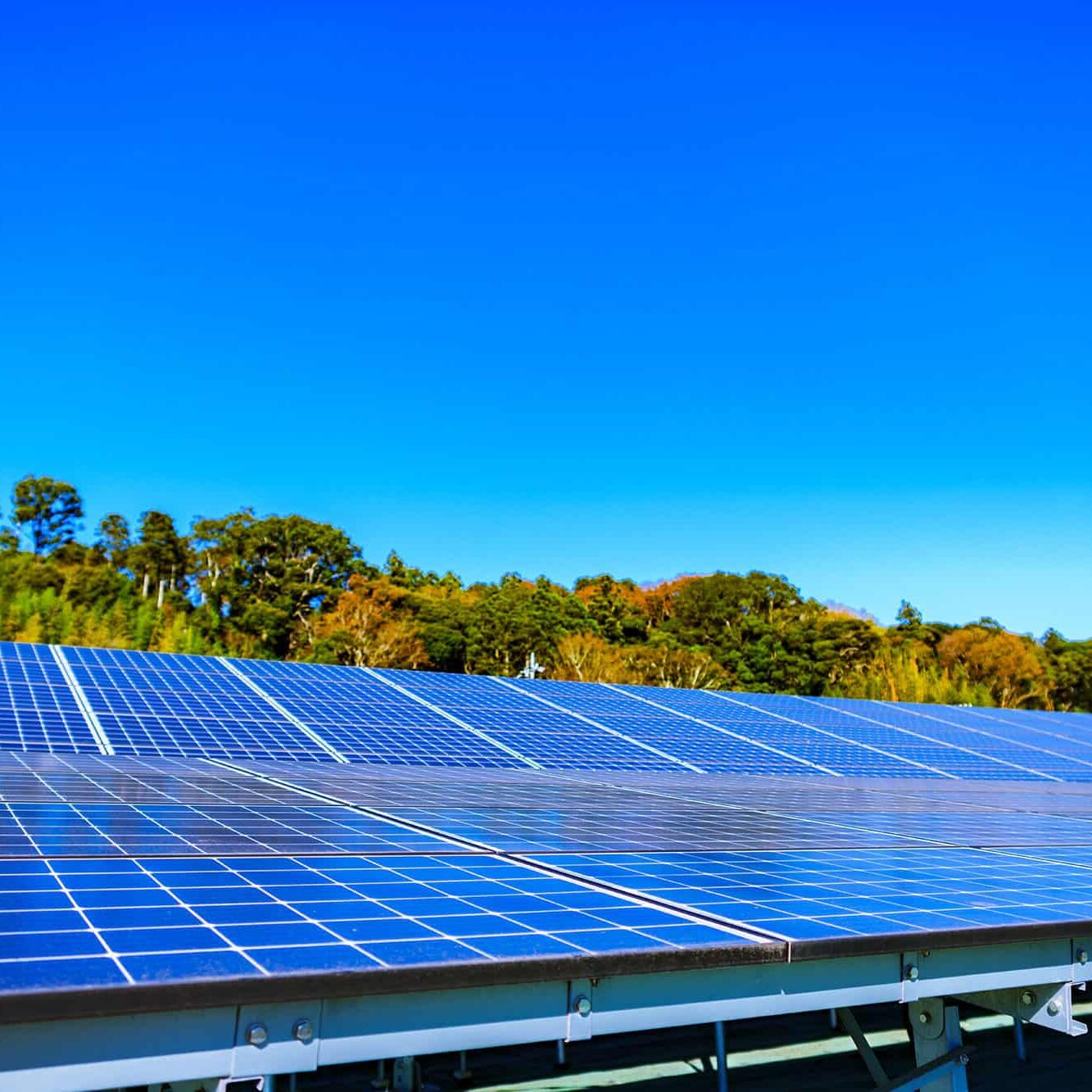 Renewable Energy Mega Solar Panel